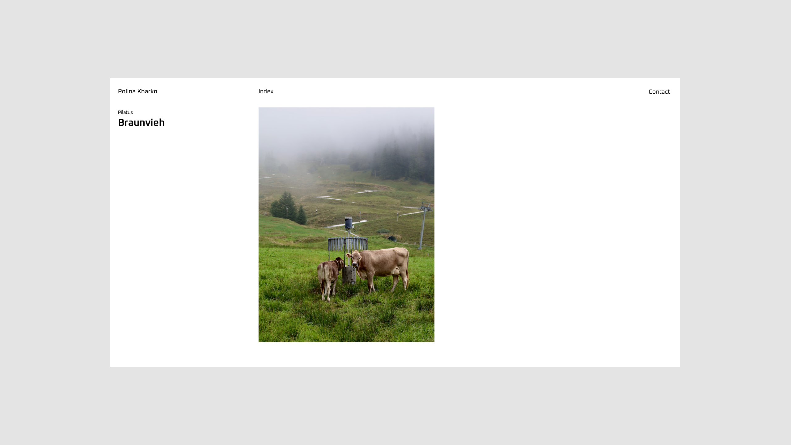 Screenshot der Webseite polinakh.ch